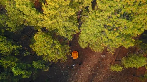 Aerial View of Lone Camping Tent in Forest