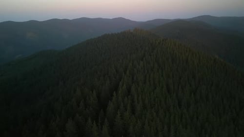 Flying Over Green Forest at Cloudy Day with the Mountains on Horizon with Glowing Clouds Carpathian