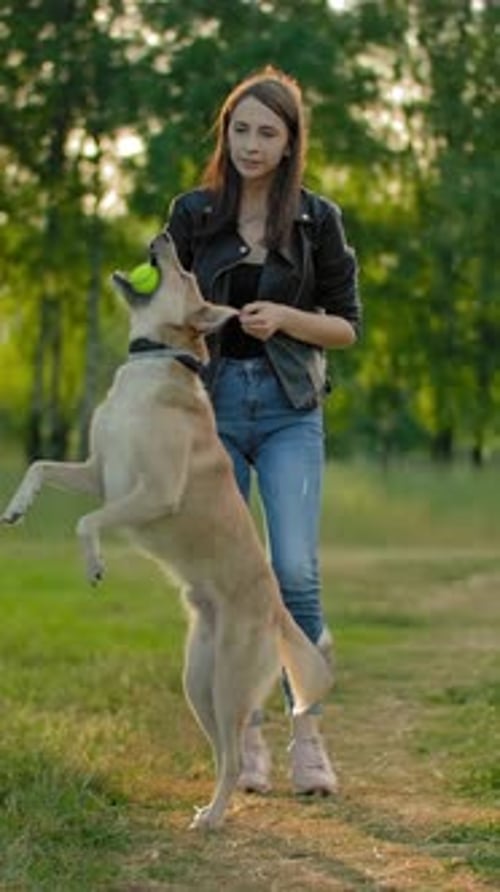 Woman and Dog Playing with a Ball Outdoors