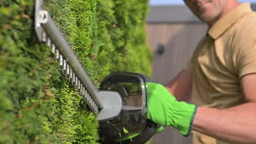 Gardener Trimming Hedge With Hedge Trimmer