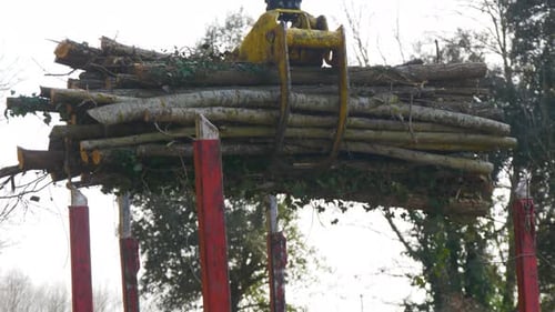 Nahaufnahme eines Lkw-Greifers beim Heben von Holzstämmen