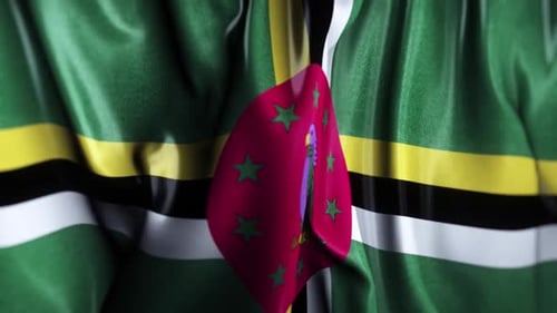 Realistic Dominica National Flag Waving Loop Animation