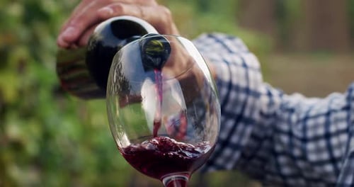 Nahaufnahme eines mit Rotwein gefüllten Glases vor grünem Hintergrund.
M