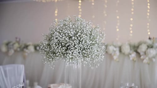 Wedding table with gypsophila flowers compositions on center. Table set with flower decoration in lu