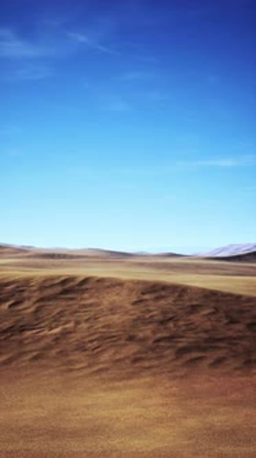Field With Blue Sky Background