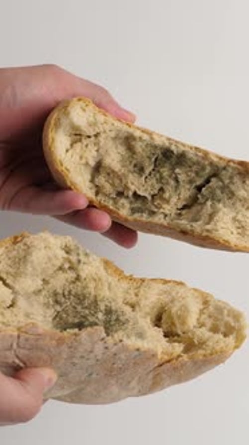 04vert. A loaf of bread with mold is broken in half. Disposal of bread.