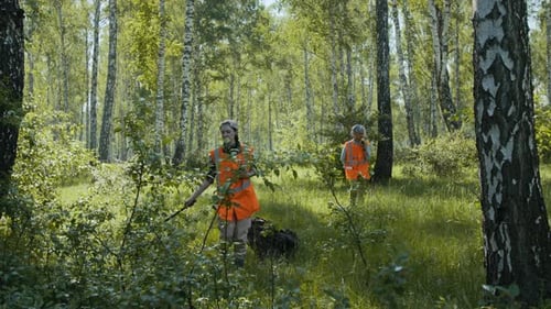 Women Surveying in Lush Forest