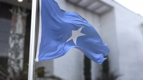 Realistic Waving Flag of Somalia with Textured Fabric Motion