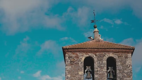 Top of Bell Tower on the Right at Background of Blue Spring Summer Sky with Graceful Storks Walking