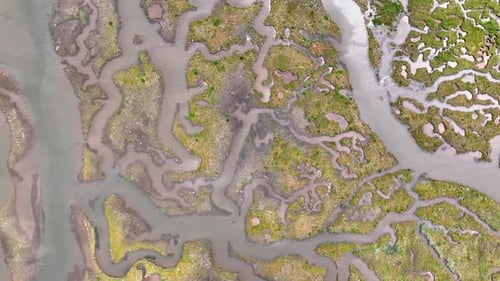 Aerial view of River Tyne salt marsh and wetlands, United Kingdom.