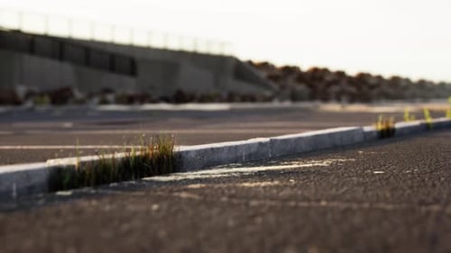 Empty Beach Car Park Spaces Covered in Asphalt