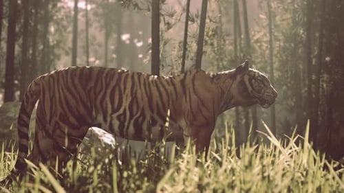 Realistic Tiger Standing in Lush Jungle Forest Animation