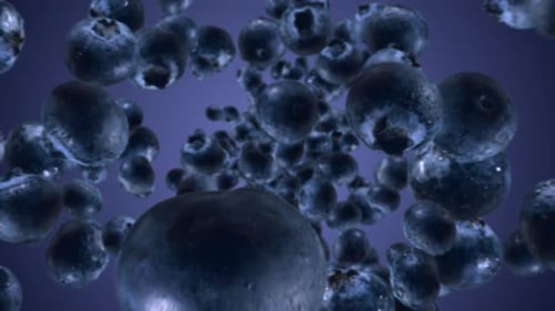 Raw Juicy Blueberries Exploding and Flying in Super Slow Motion Blueberry Drops After Explosion High