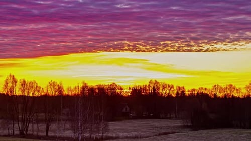Golden super bright sky over silhouette of trees in rural landscape, fusion time lapse
