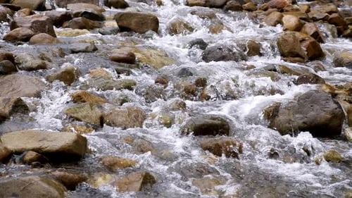 Klarer Bach, der durch Steinblöcke fließt Reichhaltiger Fluss, der in Zeitlupe fließt. Wilder Gebirgsbach