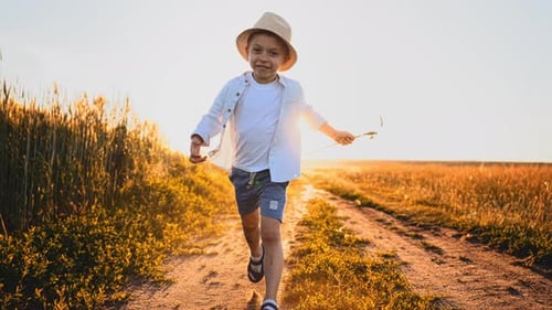 Little Boy in Panama Hat of Smiling and Happy Kid in Nature on Field with Wheat Playing with Kite