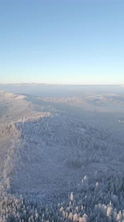 Luftaufnahme der Winterlandschaft eines nebligen Bergwaldes