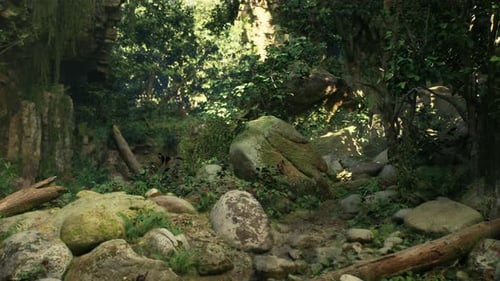 Rocky Forest Landscape With Trees