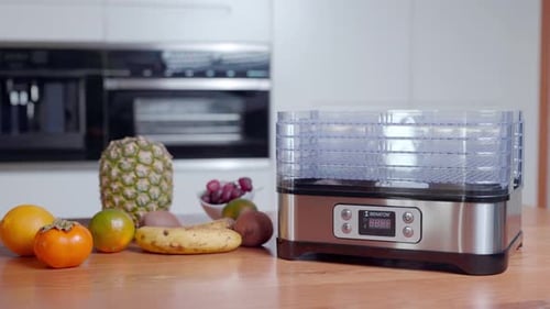 Preparing Fruit in Electric Food Dehydrator in Kitchen