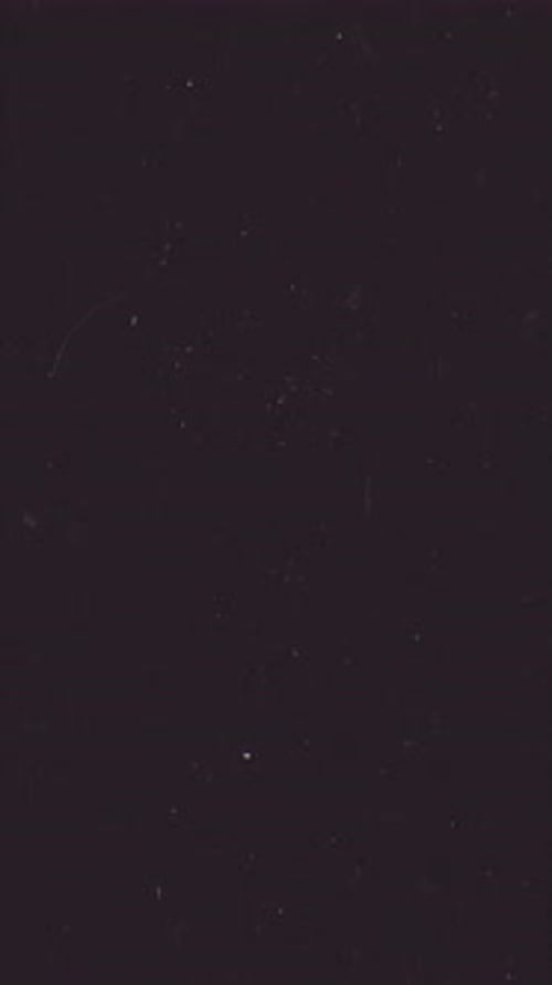 Vintage Film Grain and Light Leak Overlay