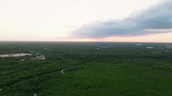 Tulum forest habitat at sunset, Quintana Roo, Panoramic drone view ...