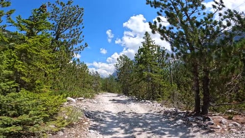 Trail in the Valbona valley trekking to Theth, Theth national park, Albanian Alps, Valbona Albania