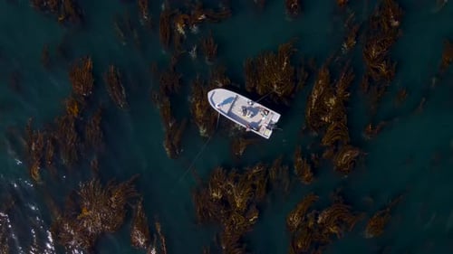 Top-down aerial of a fishing boat navigating shallow waters off Cedros Island