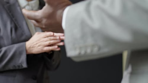 Business Handshake in Office