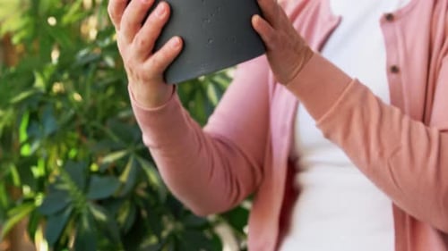 Concepto de personas, tareas del hogar y jardín: una mujer mayor feliz cuida de