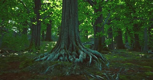 Majestic Tree with Intricate Roots Surrounded By Lush Green Forest