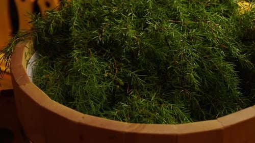 Dampfende Tannenbesen in der Sauna Entspannung und gesunder Lebensstil Genießen Sie die Entspannungszeit im Dampfbad
