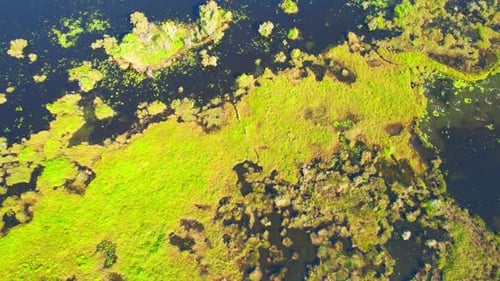 Aerial view over beautiful wetlands