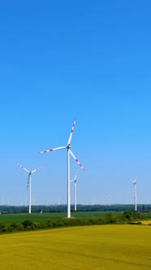 Wind Turbines Rotating in Sunny Rural Field