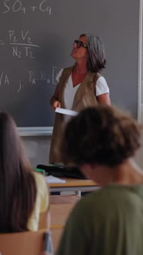 Teacher Explaining Lesson at the Blackboard Rear View From Students