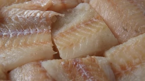 Raw Fish Fillet is Spinning