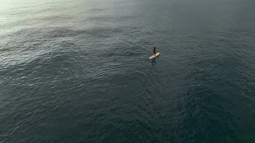 Sea Man Sup Top Down View on Athlete Man Swimming in Sea and Paddleboarding at Summer Sunset