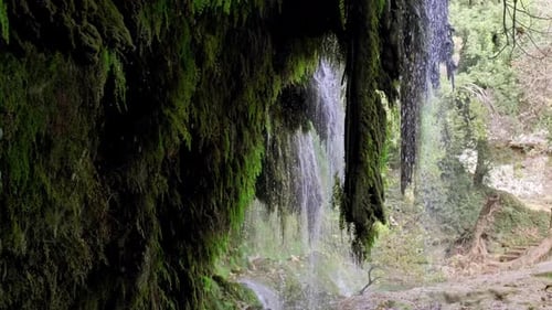 Close-Up of Mossy Forest Waterfall and Flowing Water