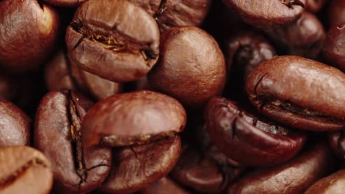 Roasting Coffee Beans with Smoke on Dark Background Close Up Arabica Robusta Colombian Beans