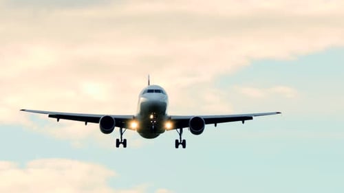 Aviation Industry Air Travel Business Scene of Airplanes Landing at Airport