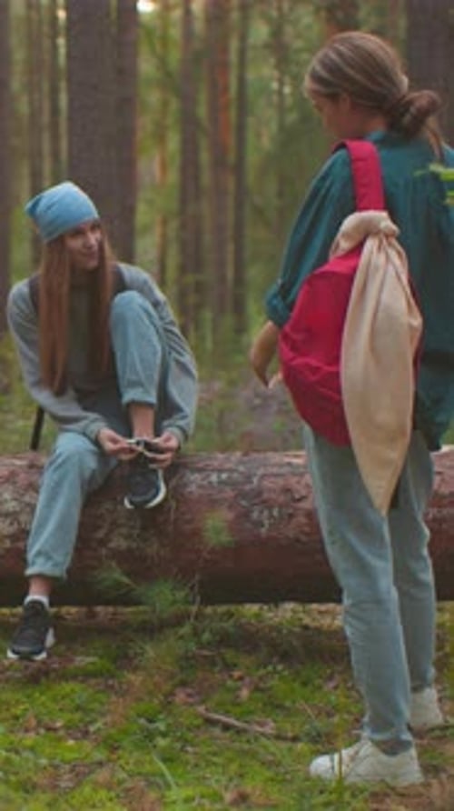 Friends Enjoying Hike in Peaceful Forest Pausing on Fallen Tree
