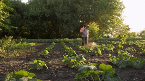 Farmer Spraying Pesticide Sprayer Garden Farm Vegetable Garden Spraying Crop Protection Plant Field