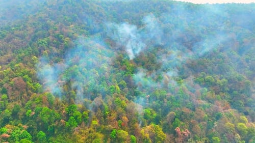 Aerial view of smoke rising through forested land.