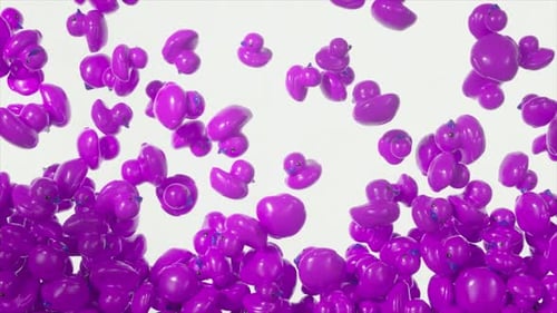 Falling Purple Rubber Ducks Full Screen Transition