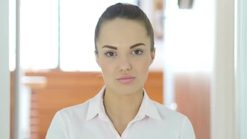 Portrait of Beautiful Woman in Office
