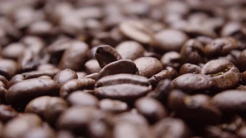 Establishing close up lots of luxurious aromatic dark coffee beans in shallow focus