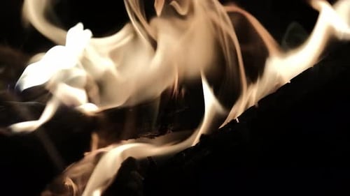 Captivating Flames Dancing in the Night