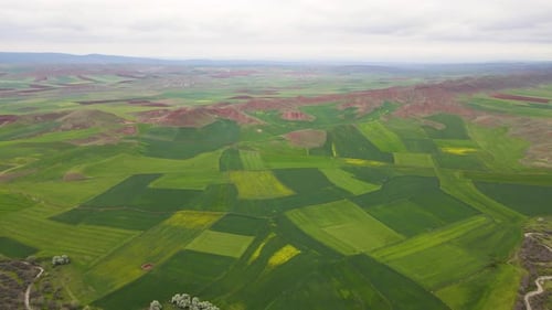 Large Agricultural Lands