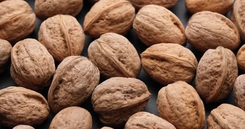 Walnuts in Shells Close Up Panning Shot