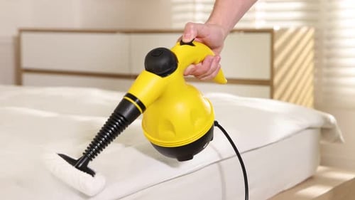 Pest control worker cleaning bed with steam cleaner indoors, closeup