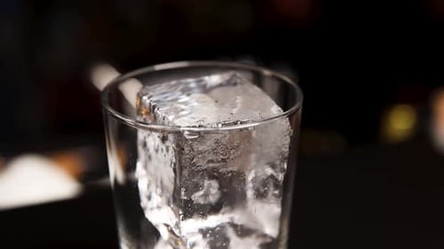 the bartender prepares a cocktail at the bar